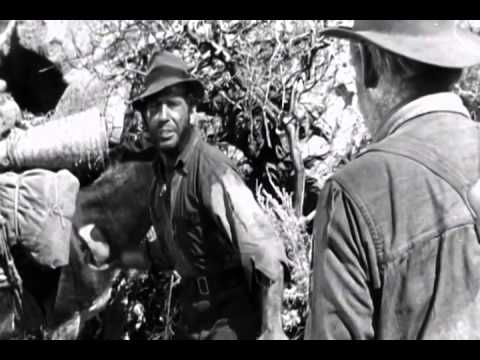 The Treasure of the Sierra Madre (1948)